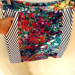 Anthropologie Floral / Pinstripe Skirt US4